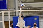 Volleyball vs RWU  Wheaton Women’s Volleyball vs Roger Williams University. : Volleyball, VB